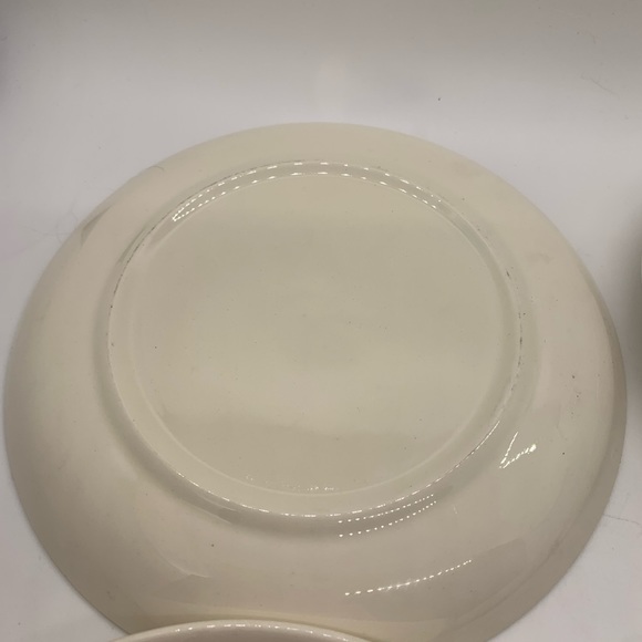 Vintage Blue Ridge Pottery MCM JONI DIXIE Dogwood design plates - Picture 3 of 6